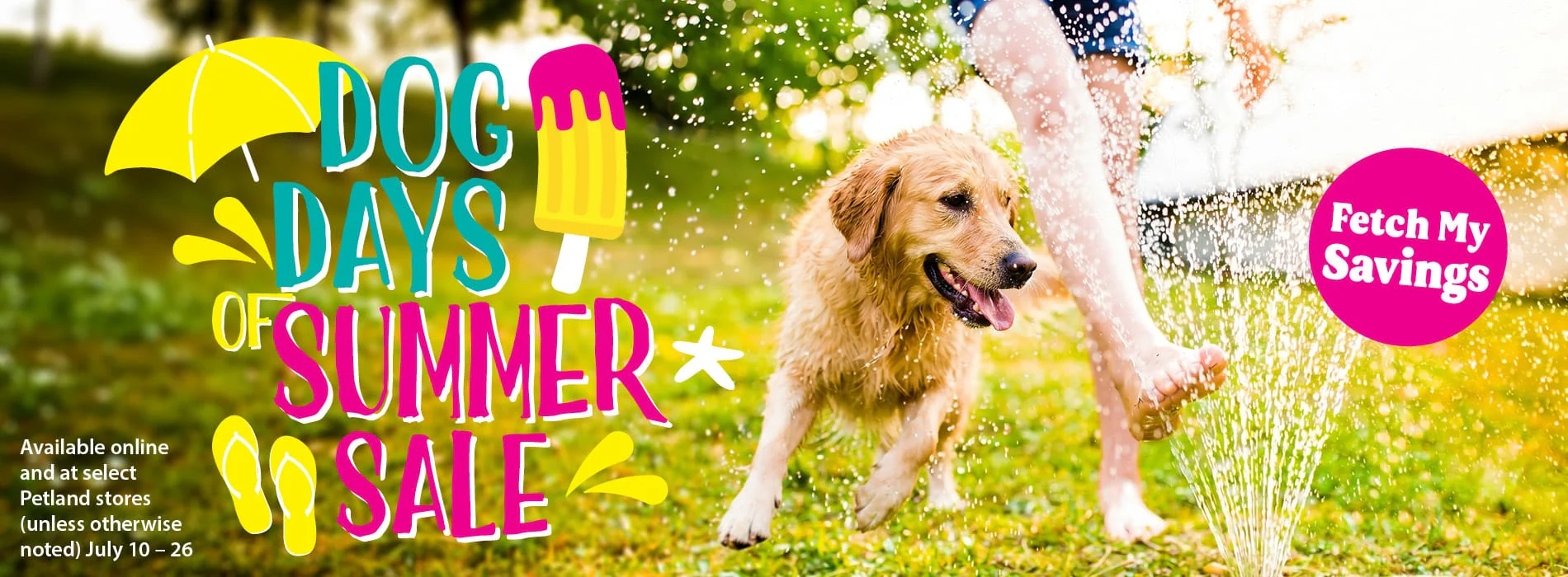 Premium Style for Happy Pets